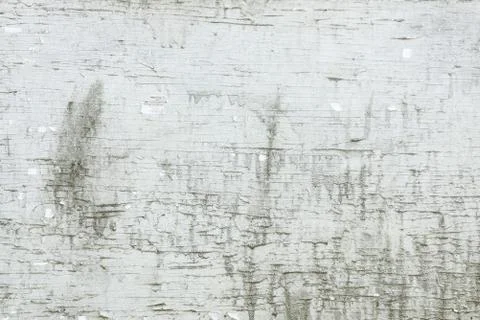 Old white damage wall texture. Dirty wall Stock Photos