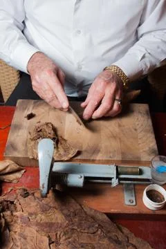 Old white man cigar roller toreador rolling hand made cigars Stock Photos