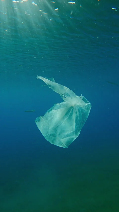 Old white plastic bag floating in turquoise water on in sunlight in contre-jour, Vídeo Stock 330751711