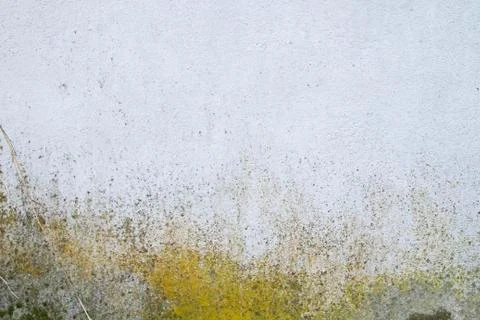 Old white wall background Stock Photos
