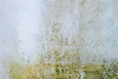 Old white wall Stock Photos