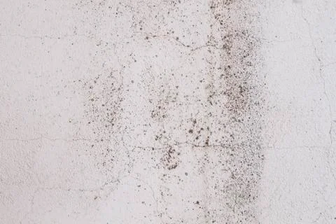 Old white wall Stock Photos