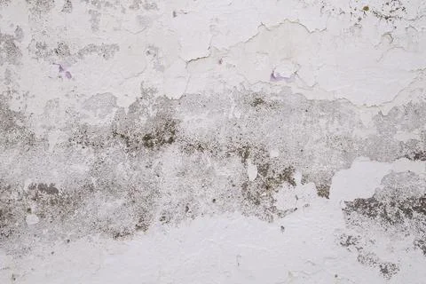 Old whitewashed lime wall Foto stock