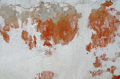 Old whitewashed wall Photos