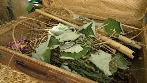 Old wicker suitcase containing dried medicinal herbs, flowers, and natural 库存影片 348784346