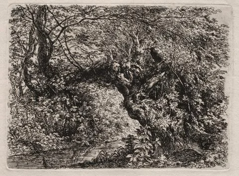 The Old Willow at a Brook, 1794. Georg von Dillis (German, 1759-1841). Etchin Illustrazione stock