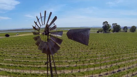 Old windmill in beautiful vineyard. Stock Footage 90022346