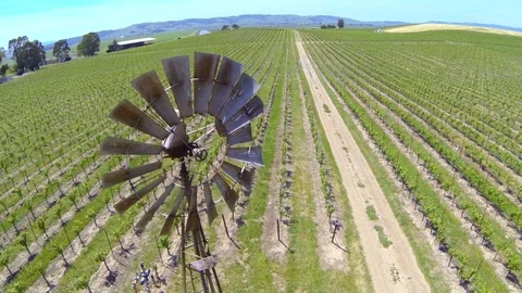 Old windmill in beautiful vineyard. Stock Footage 90066502