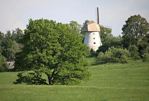 Old windmill between green trees on a hillside in Latvia on a sunny May day 2 Stock Photos