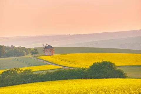 Old windmill in blooming Spring landscape with rolling hills. Yellow colza .. Stock Photos