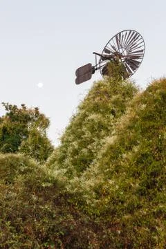 Old Windmill Eaten by Vegetation 库存照片