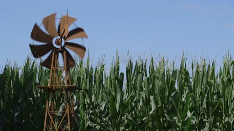 Old windmill on farm with corn crops Vídeos de archivo 137620271