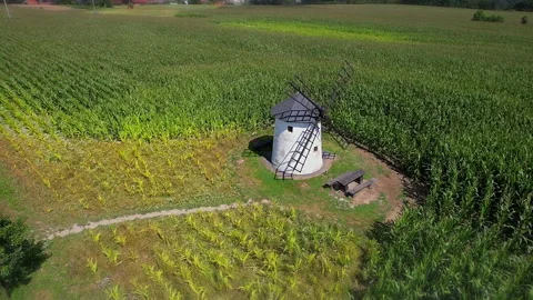 Old windmill in the field. Old stone windmill with wooden blades. Stock Footage 167206232
