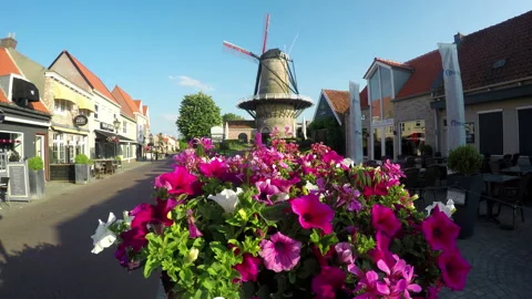 Old windmill Stock Footage 113393890