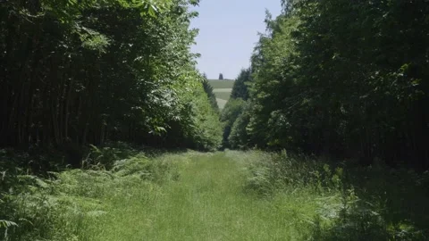 Old Windmill Stock Footage 140194280
