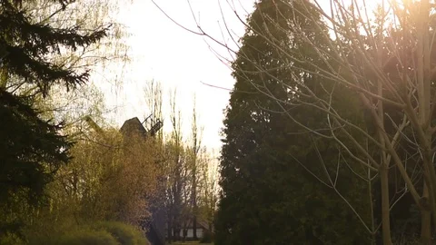 Old windmill in the forest at sunset Stock Footage 128816522