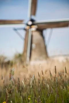 Old windmill, Kinderdijk in netherlands Free Stock Photos
