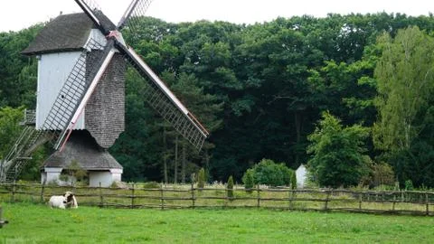 Old windmill 写真素材
