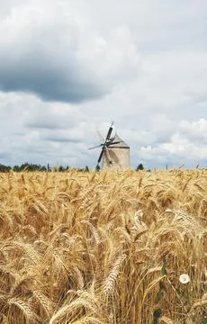 Old windmill sitting beyond the wheat field with a cloudy sky Stock Photos