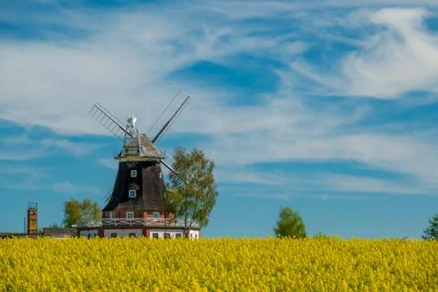 An old windmill stands on a canola field Stock Photos