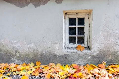 Old window at autumn Stock Photos