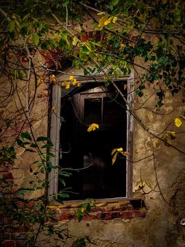 Old window in autumn 写真素材