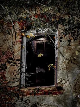 Old window in autumn 写真素材