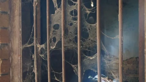 Old Window Bars Covered With Cobweb In Abandoned House Stock Footage 321374272