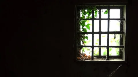 Old window with bars in the interior of old and abandoned house Stock Footage 112943908