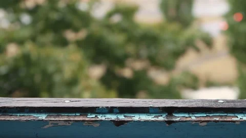 Old window close-up, raindrops fall outdoors on the background of trees. Stock Footage 159504038