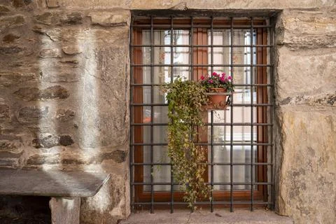 Old window with flowers Stock Photos