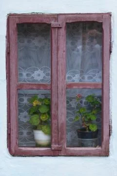 Old window frame with geranium flowers Stock Photos