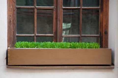 Old window with grass in box Stock Photos