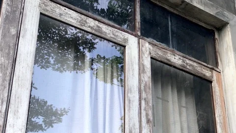 Old window mirror reflection tree leafs. Stock Footage 108506346