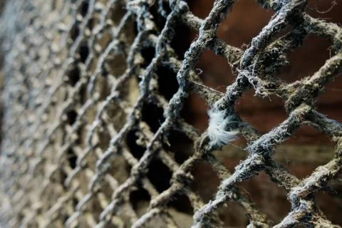 Old window. Stock Photos