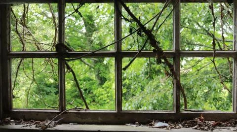 Old window. Foto stock