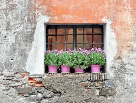 Old window Stock-Fotos