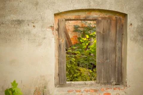 Old window with plant Stock Photos