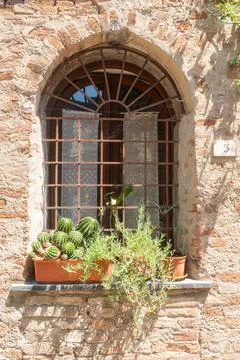 Old Window with Plants on Brick Wall Stock Photos