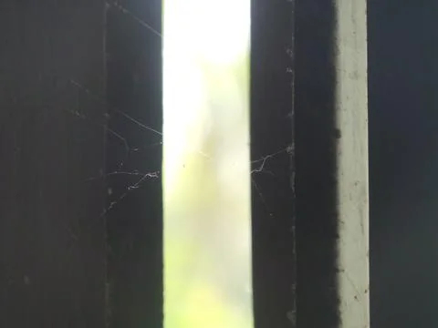 Old window with web Stock Photos