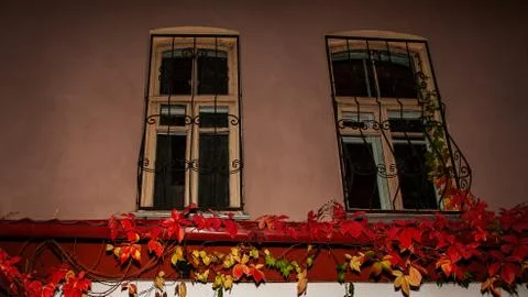 Old Windows with bars at night Stock Photos