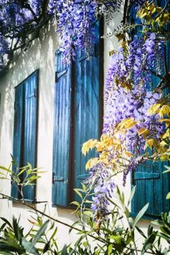 Old windows with blue shutters Stock Photos