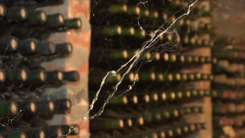 Old wine and cobweb Stock Footage 172240565