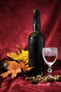 Old wine bottle Stock Photos