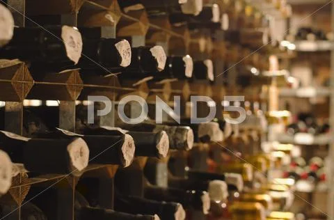 Old wine bottles on cellar shelves Stock Photos