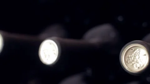 Old Wine Bottles Video stock 7901367