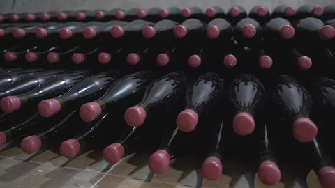 Old Wine Bottles Stock Footage 105879885