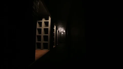 Old wine cellar, empty Stock Footage 81546956