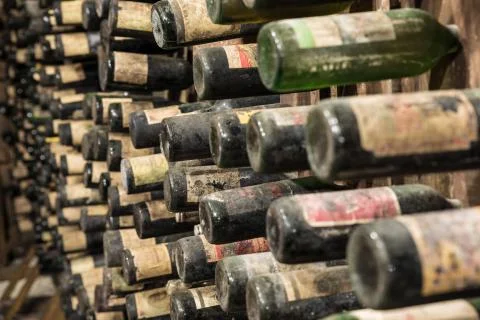 An old wine cellar with old bottles full of red or white wine Stock Photos