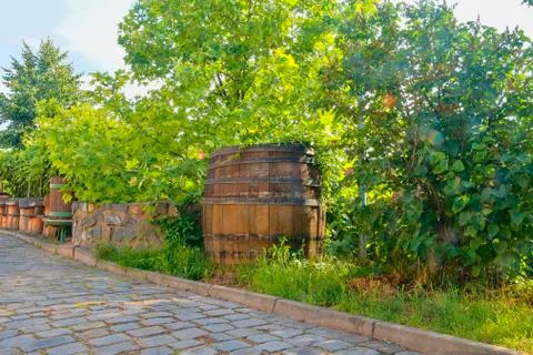 Old wine press and rustic wine barrel.. Wine background in Europe. Czech Stock-Fotos